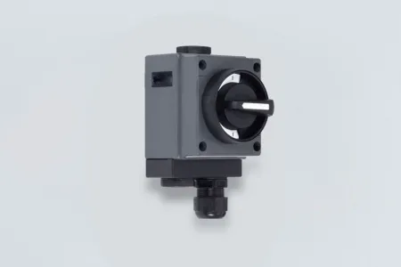 Control Boxes Installation Switch Series 8040/11-V30 1 ex_installation_switch_series_8040_11_v30_rstahl_10035e00_9b18420561