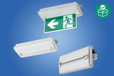 Luminaires 6109/111-0101-160-0111-31-0850-001, Emergency luminaire LED, Control interface: without, Variant: Without diffuser 15° Zone 1, 2, 21, 22 1 ~dl/2026/6/4/gambar_4